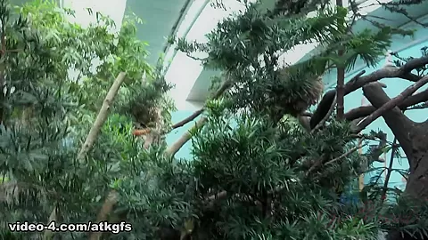 You Take Jill To See Some Wildlife Up Close - ATKGirlfriends