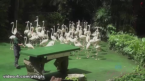 You Take Jill To See Some Wildlife Up Close - ATKGirlfriends