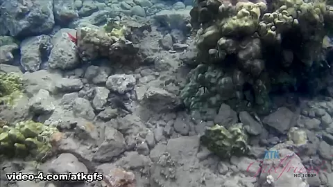You Snorkel With Carmen, Then You Get Her Off At Home - ATKGirlfriends