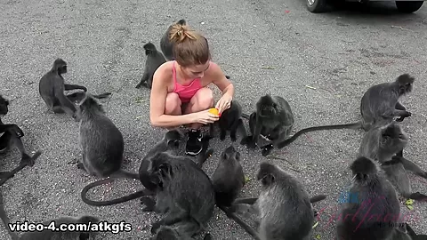 Jill Meets The Monkey And Has A Great Day Out - ATKGirlfriends