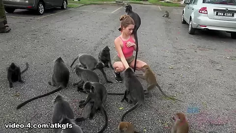 Jill Meets The Monkey And Has A Great Day Out - ATKGirlfriends