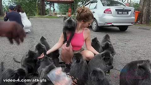 Jill Meets The Monkey And Has A Great Day Out - ATKGirlfriends