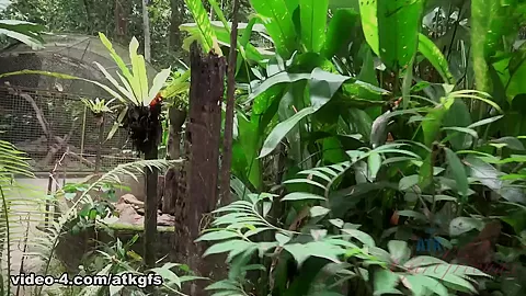 Jill Has The Best Day In Malaysia - ATKGirlfriends