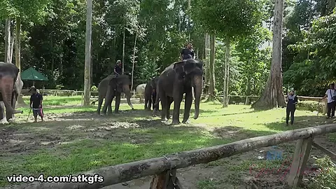 Jill Has The Best Day In Malaysia - ATKGirlfriends