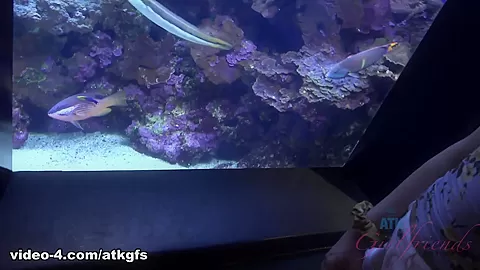 You Take Sadie To The Aquarium And Get Her Off In The Car - ATKGirlfriends