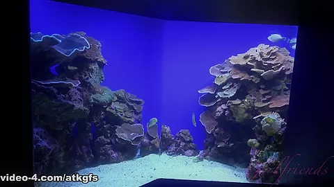 You Take Noemie To The Aquarium And She Puts On A Show - ATKGirlfriends