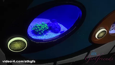 You Take Noemie To The Aquarium And She Puts On A Show - ATKGirlfriends
