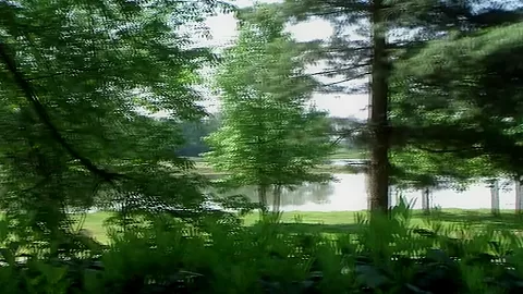 Video from Meta-Art: Iveta B - Elatis - by Helios