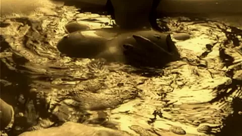 Video from Meta-Art: Julia F - Falizia - by Slastyonoff