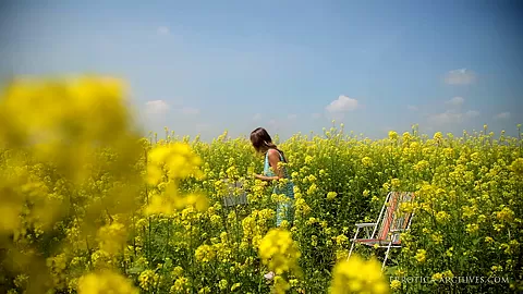 Field Tones - Sybil A - Errotica-Archives