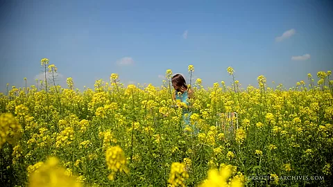 Field Tones - Sybil A - Errotica-Archives
