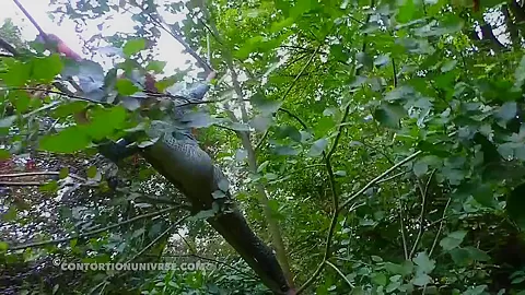 Acrobatics Hidden In The Forest - Watch4Fetish