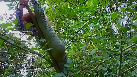 Acrobatics Hidden In The Forest - Watch4Fetish