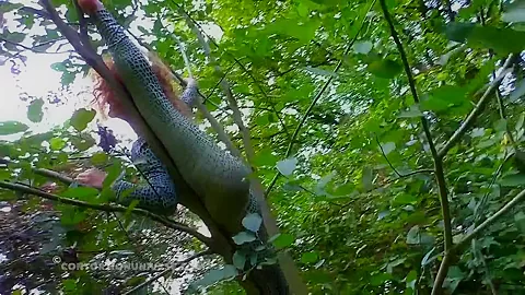 Acrobatics Hidden In The Forest - Watch4Fetish