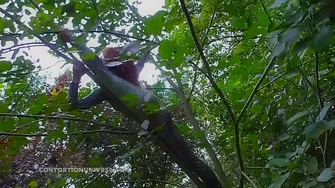 Acrobatics Hidden In The Forest - Watch4Fetish