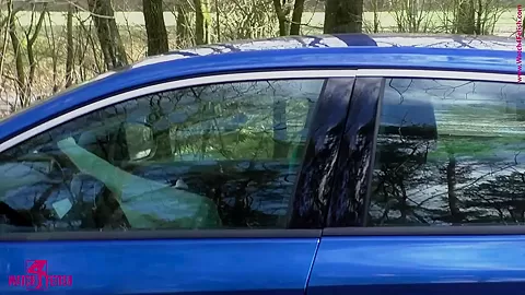 Zentai Cat On The Go - Watch4Fetish