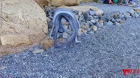 Full Body Catsuit On The Beach - Watch4Fetish
