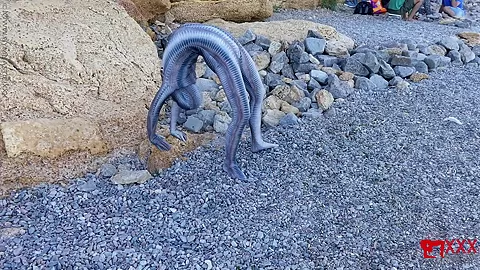 Full Body Catsuit On The Beach - Watch4Fetish
