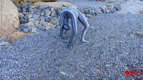 Full Body Catsuit On The Beach - Watch4Fetish