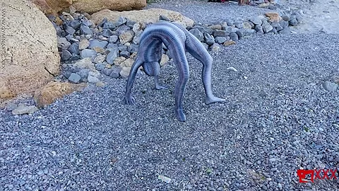 Full Body Catsuit On The Beach - Watch4Fetish