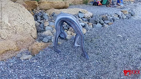 Full Body Catsuit On The Beach - Watch4Fetish