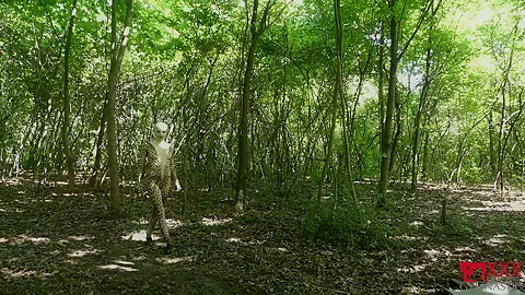 Flexible In Nature - Watch4Fetish