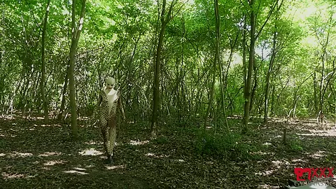 Flexible In Nature - Watch4Fetish