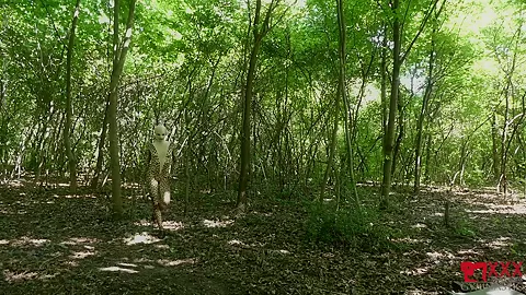 Flexible In Nature - Watch4Fetish