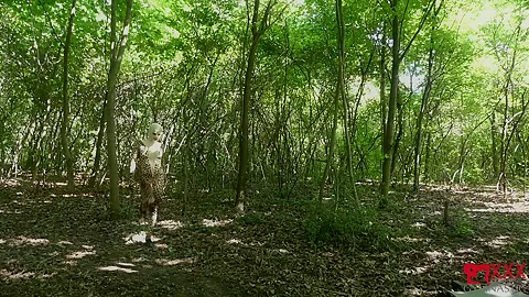 Flexible In Nature - Watch4Fetish