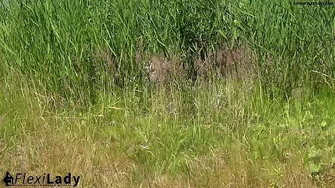 My Animal Instinct - Watch4Fetish