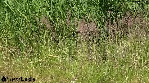 My Animal Instinct - Watch4Fetish