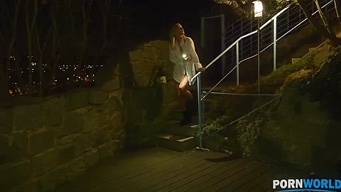 Blowjob Saves the Day - PornWorld