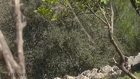 Flexible Catsuit Beauty In Nature - Watch4Fetish