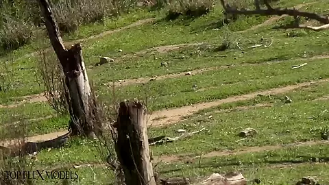 Flexible Catsuit Beauty In Nature - Watch4Fetish