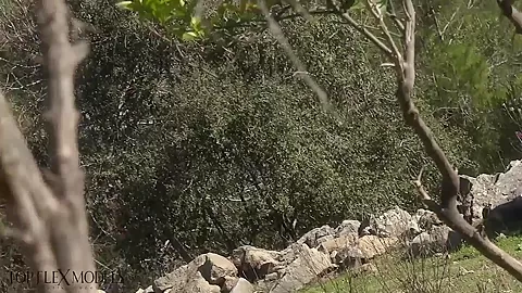 Flexible Catsuit Beauty In Nature - Watch4Fetish