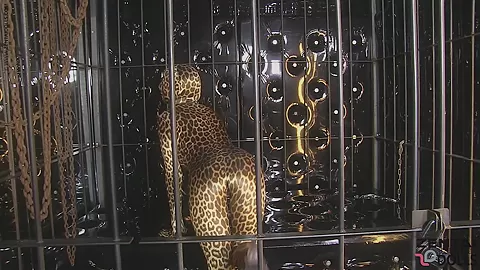 Wild Leopard Strip - Watch4Fetish