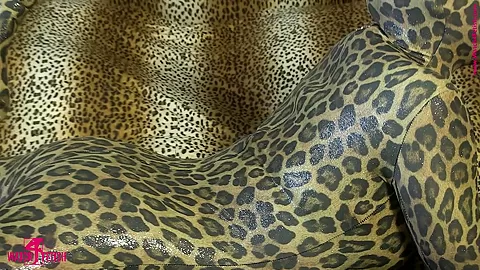 Snake Woman In Spandex Catsuit - Watch4Fetish