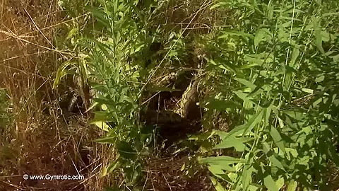 Strange Flexible Being In Nature - Watch4Fetish