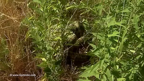 Strange Flexible Being In Nature - Watch4Fetish