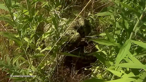 Strange Flexible Being In Nature - Watch4Fetish