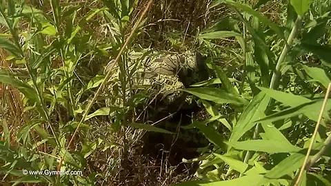 Strange Flexible Being In Nature - Watch4Fetish