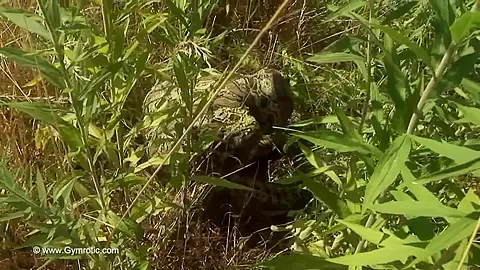 Strange Flexible Being In Nature - Watch4Fetish
