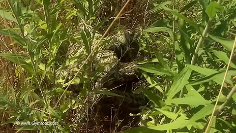 Strange Flexible Being In Nature - Watch4Fetish