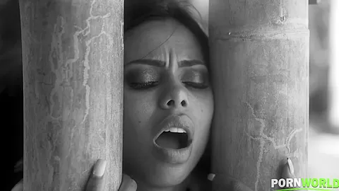 Doggy Style Until She Screams - PornWorld