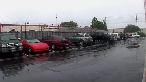 Long bumped pussy of nasty MILF fuckhole looks fine full of sperm