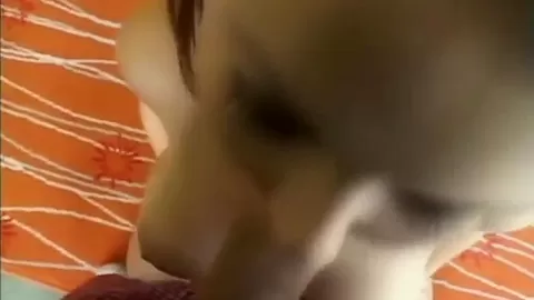 Nasty Blonde Blowjob And Fucking Casting