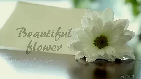 Beautiful Flower - Alecto - Met-Art