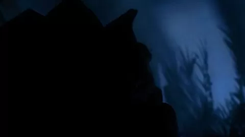 BASED ON TRUE STORY, HOW THE SEXY BLONDE FIND OUT HER BIG BLACK COCK FETISH