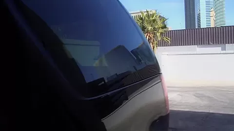 Milfs Like it Big: Driving Dick Shift