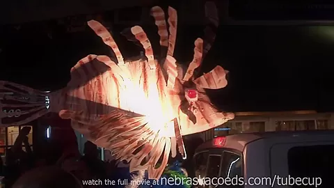 random hot chicks flashing tits and ass in public